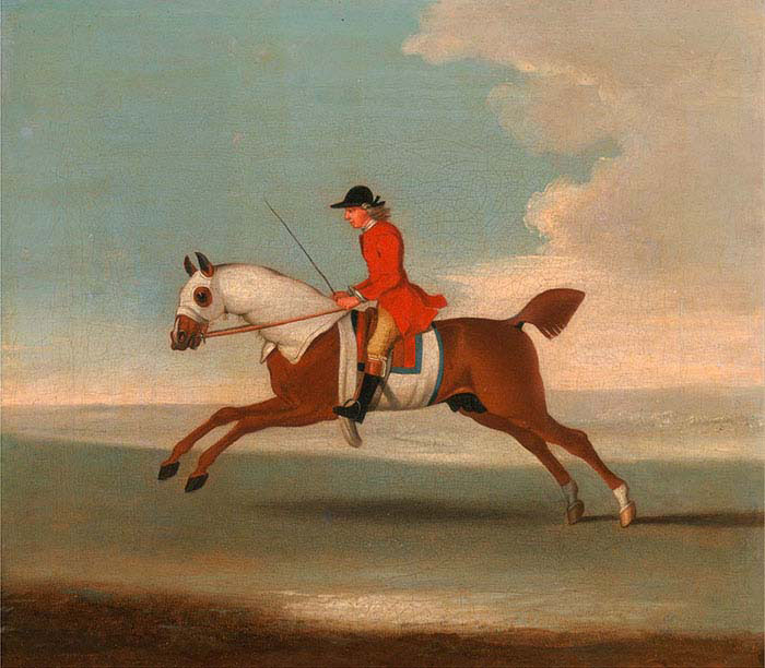 Chestnut Racehorse Exercised by a Trainer in a Red Coat